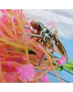 Steampunk Insect Drosophila sculpture